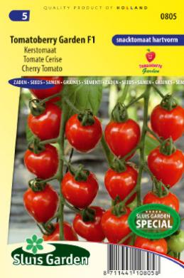 Tomato Gardenberry F1 (Solanum)